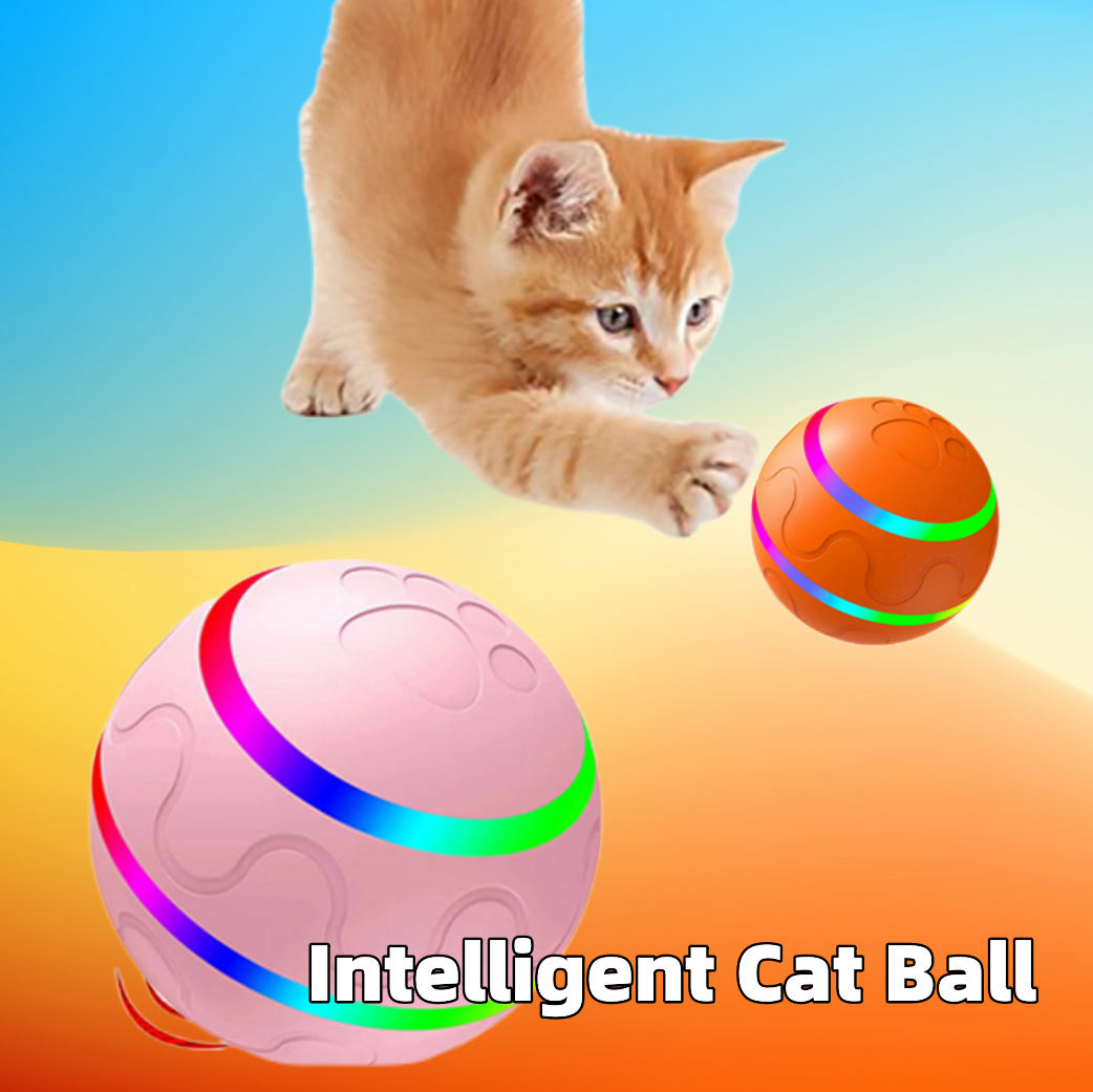 Pet Supplies